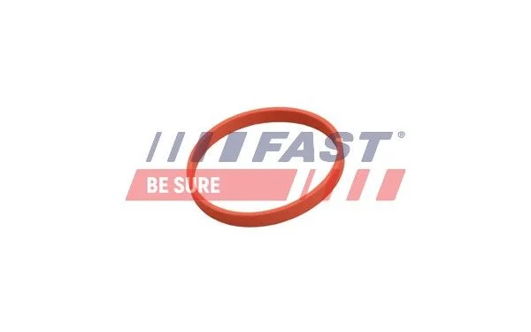 Gasket, EGR valve FAST FT50628