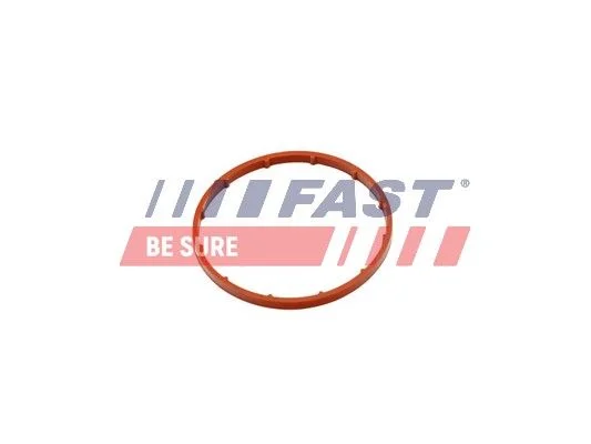 Junta, bomba de vácuo FAST FT50701