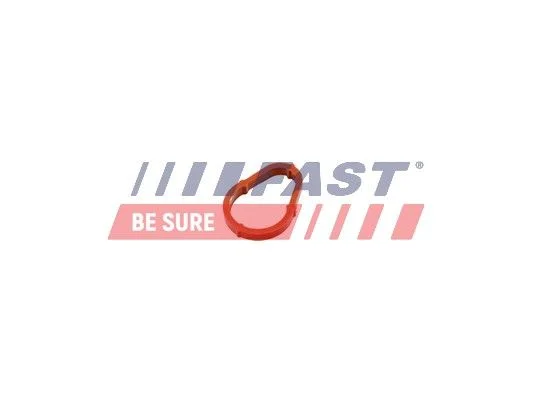 Junta, bomba de vácuo FAST FT50702