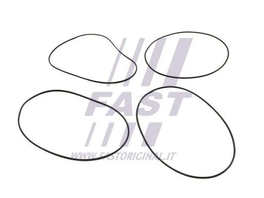 Conjunto de Anéis O, cilindro FAST FT50751
