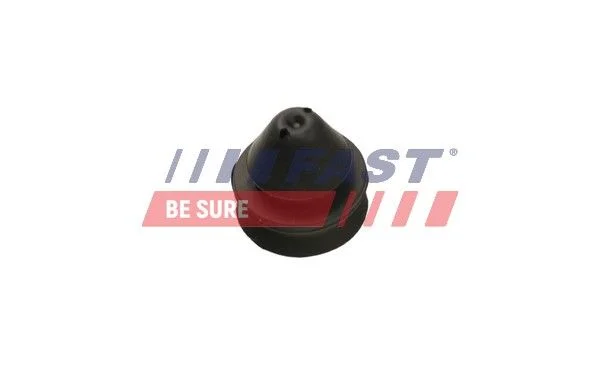 Suporte, radiador FAST FT55811