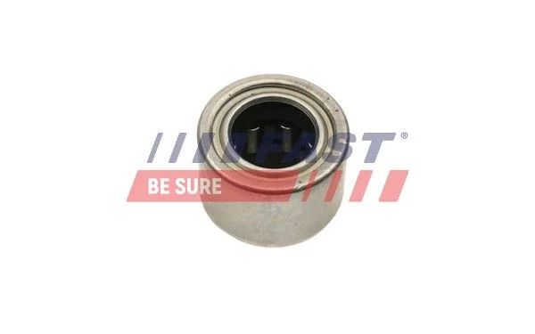 Rolamento piloto, embraiagem FAST FT62604
