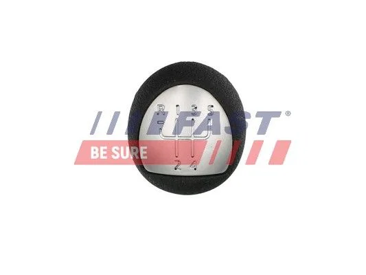 Gear Lever Knob FAST FT73223