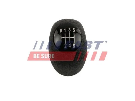 Gear Lever Knob FAST FT73225