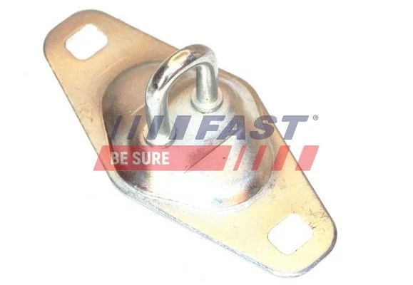 Strike Plate, rear door lock FAST FT95462