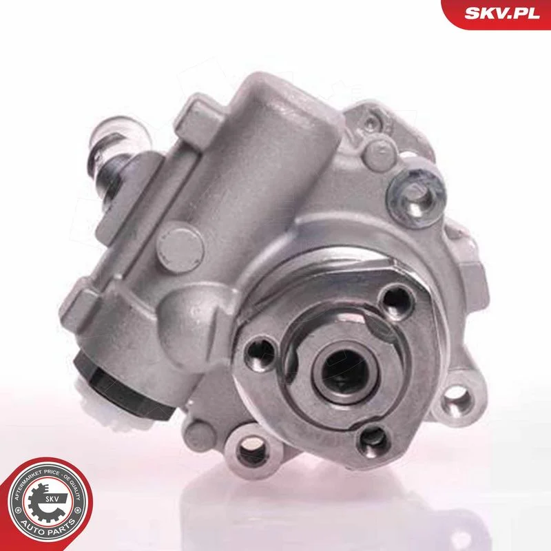 Hydraulic Pump, steering ESEN SKV 10SKV166