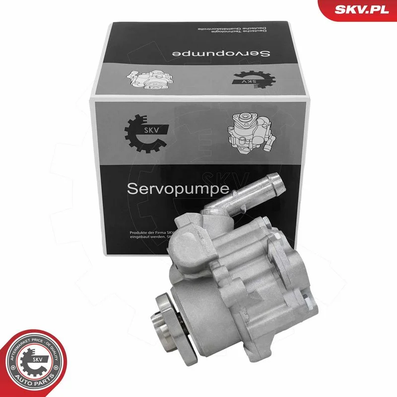 Hydraulic Pump, steering ESEN SKV 10SKV321