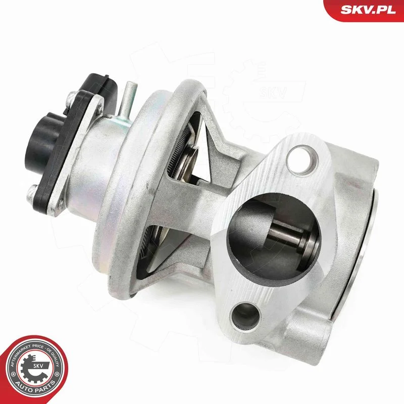 1145 ESEN SKV 14SKV269