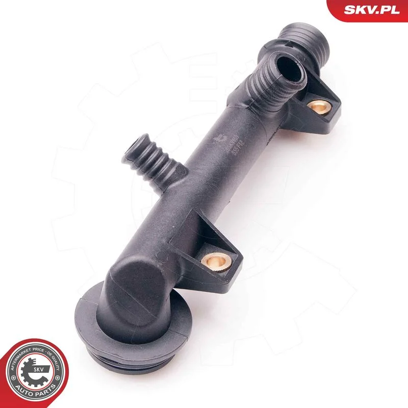 Sealing Plug, coolant flange ESEN SKV 20SKV059