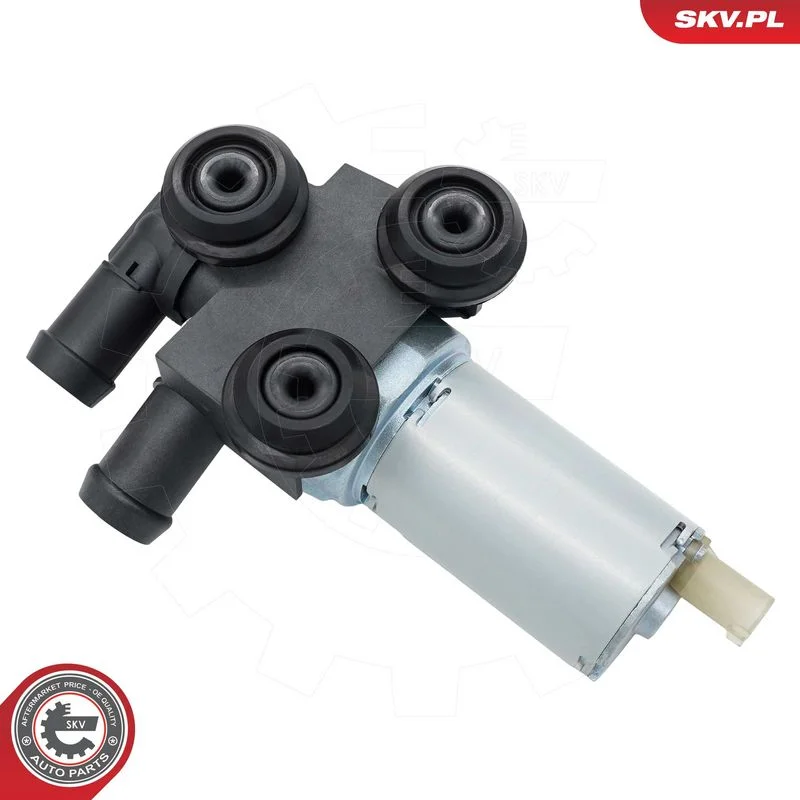 Auxiliary Water Pump (cooling water circuit) ESEN SKV 22SKV075