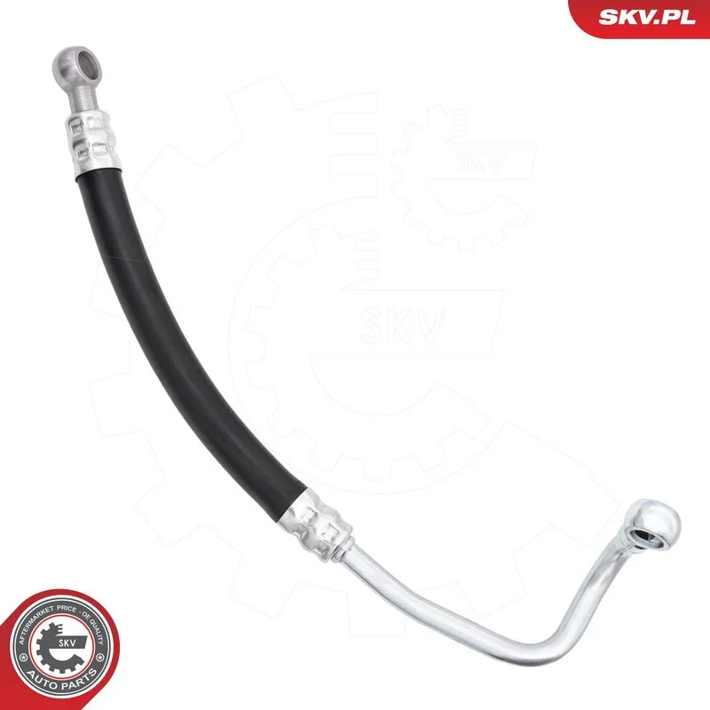 3739 SKV GERMANY 54SKV876