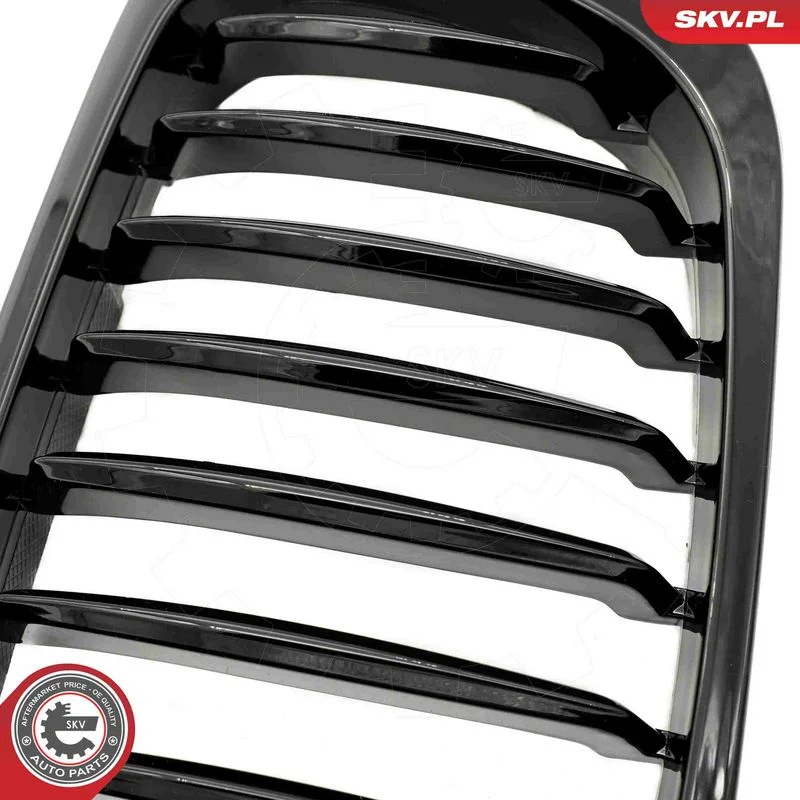 Radiator Grille ESEN SKV 66SKV055