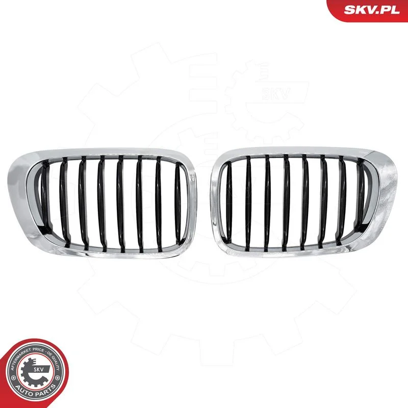 Radiator Grille ESEN SKV 66SKV056