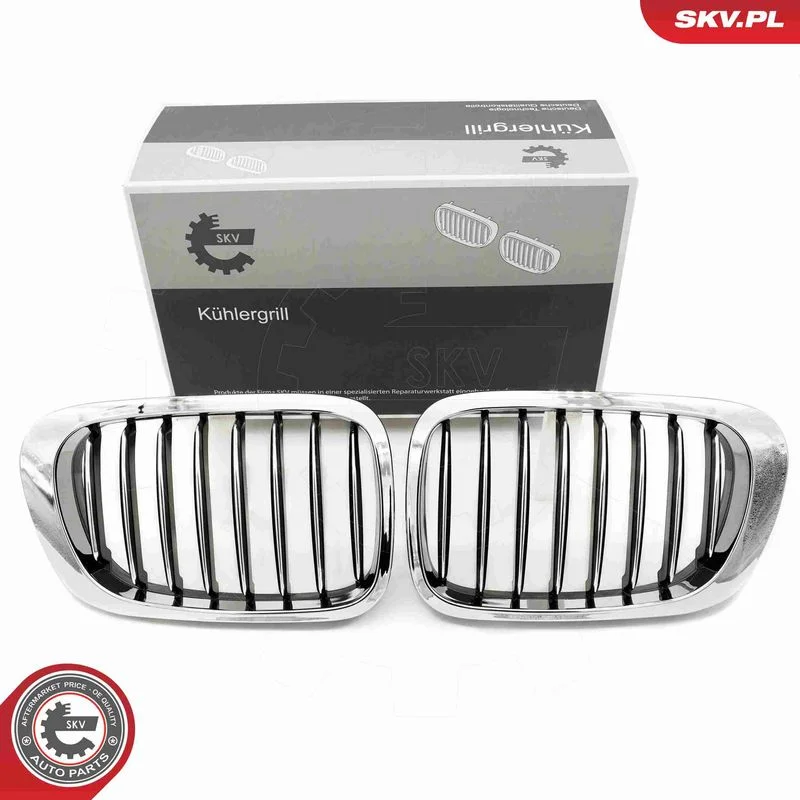 Radiator Grille ESEN SKV 66SKV057