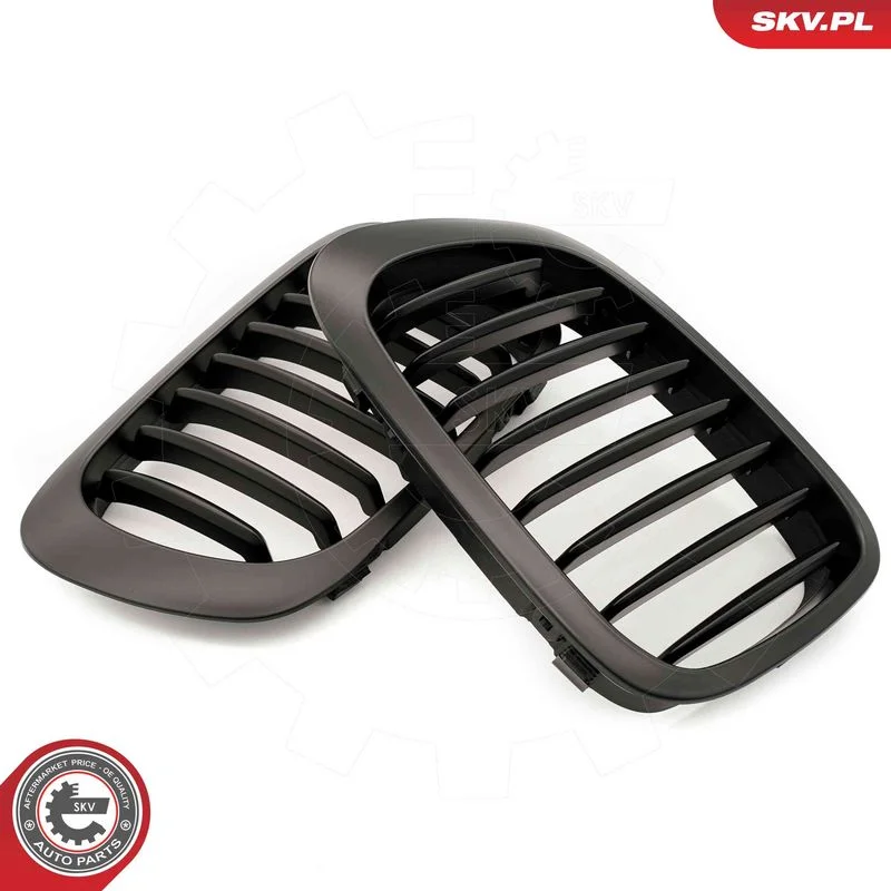 Radiator Grille ESEN SKV 66SKV058