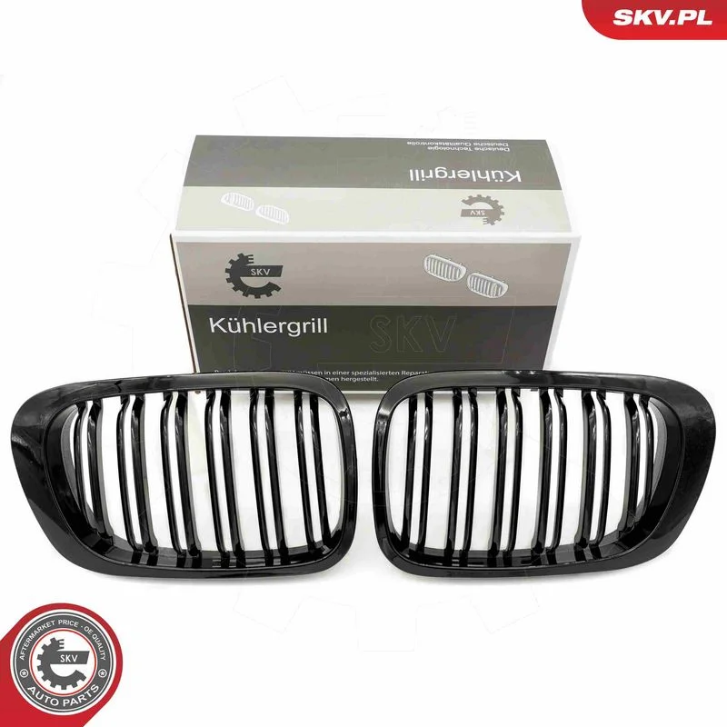 Radiator Grille ESEN SKV 66SKV059