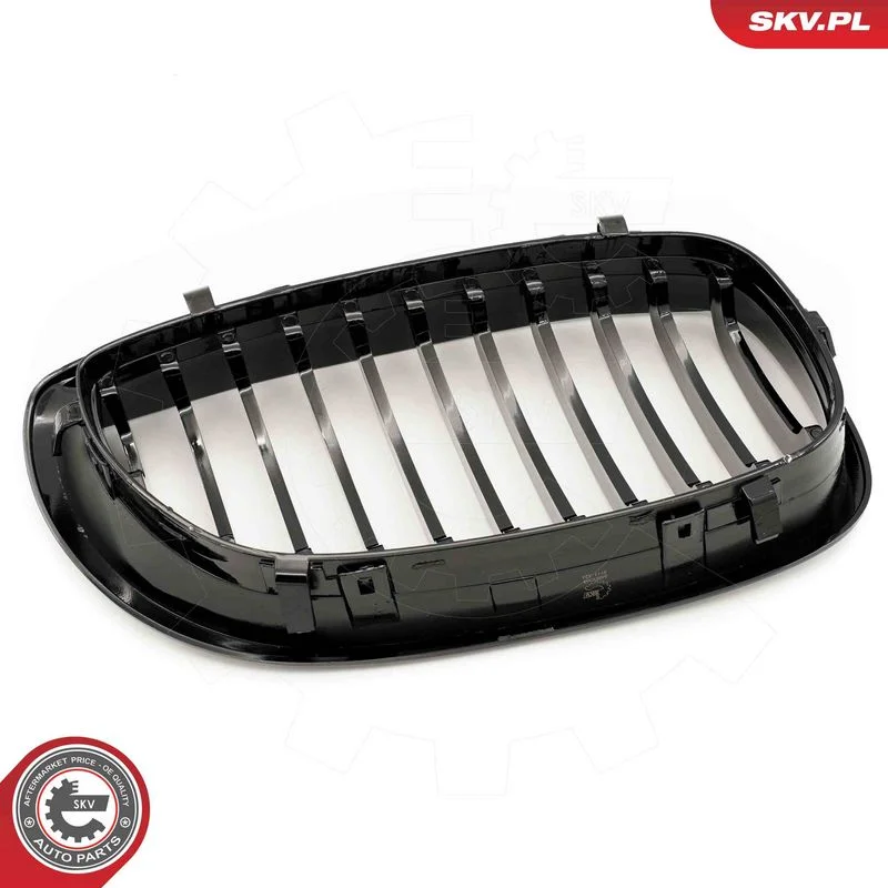 Radiator Grille ESEN SKV 66SKV068