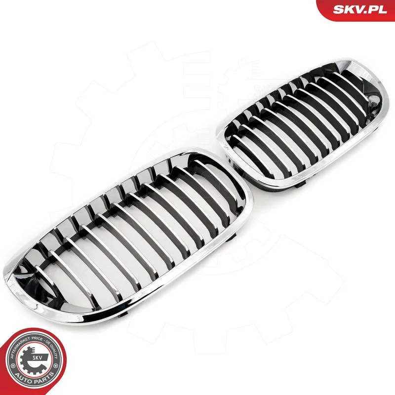 Radiator Grille ESEN SKV 66SKV070