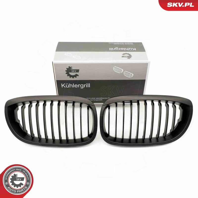 Radiator Grille ESEN SKV 66SKV071