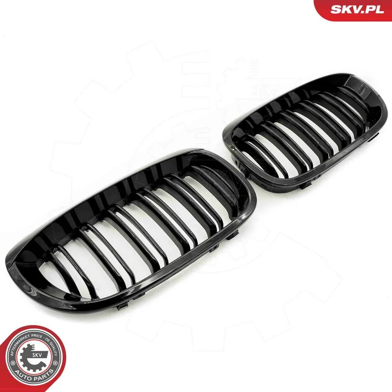 Radiator Grille ESEN SKV 66SKV073