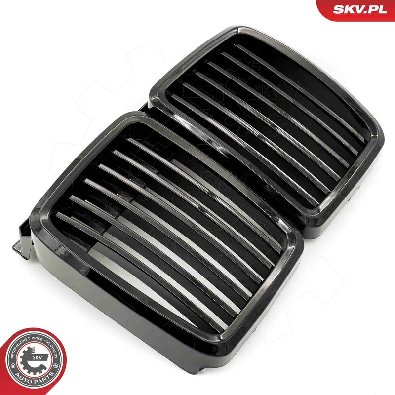 Radiator Grille ESEN SKV 66SKV146