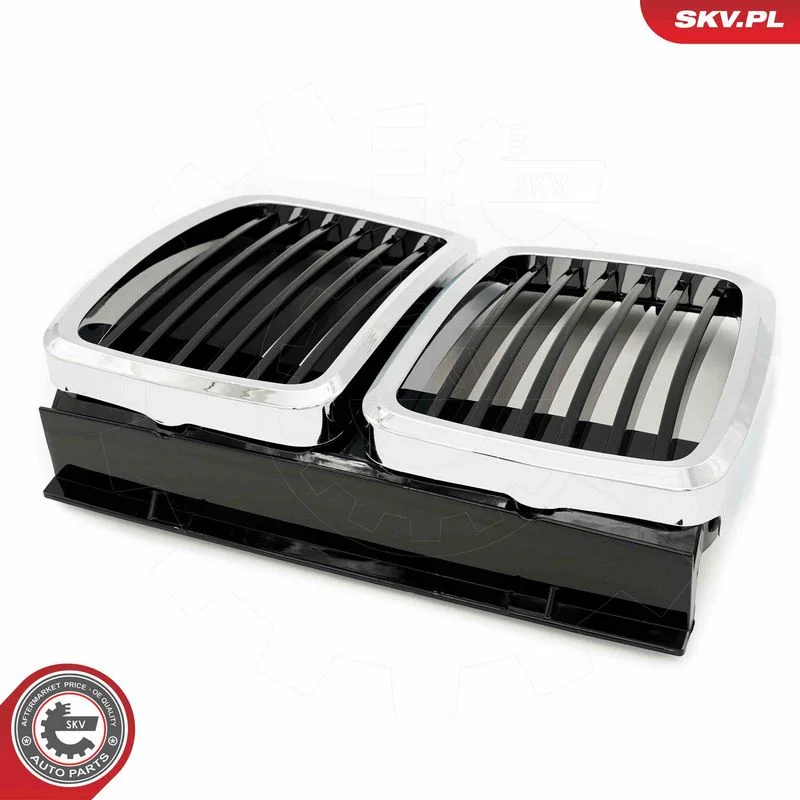 Radiator Grille ESEN SKV 66SKV148