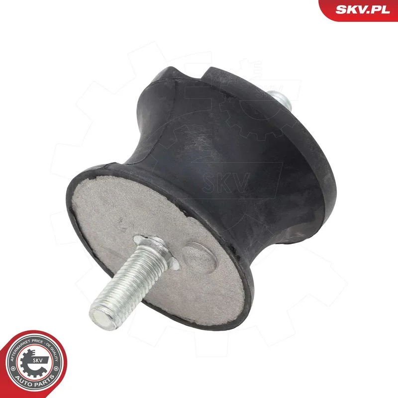 248 SKV GERMANY 75SKV842