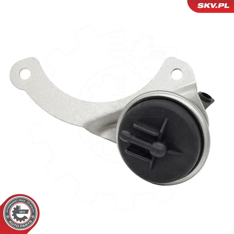Boost Pressure Control Valve ESEN SKV 95SKV421
