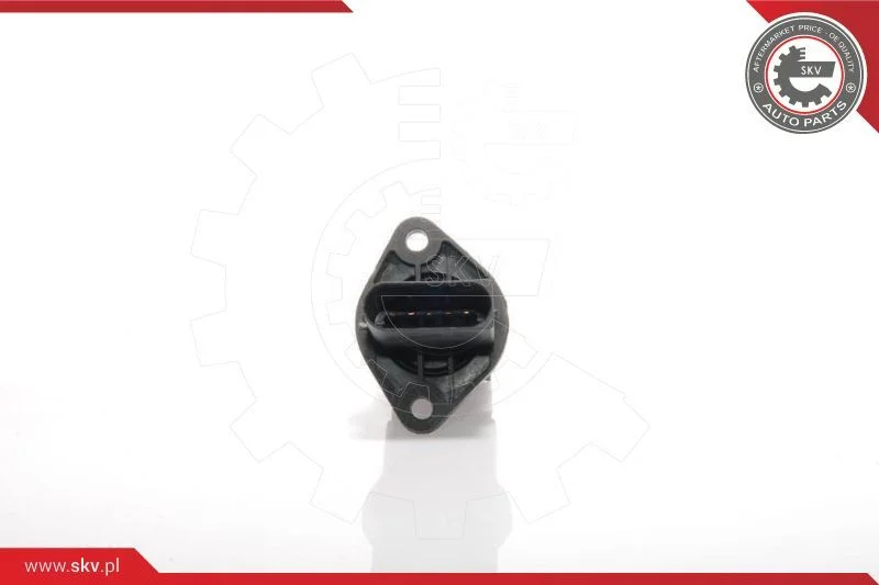 Sensor de Fluxo de Massa de Ar ESEN SKV 07SKV139