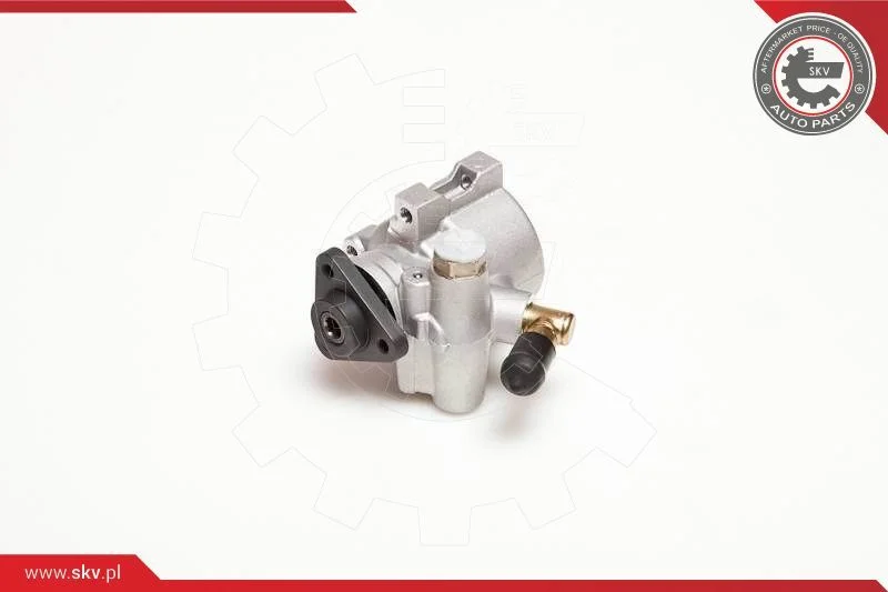 Hydraulic Pump, steering ESEN SKV 10SKV053
