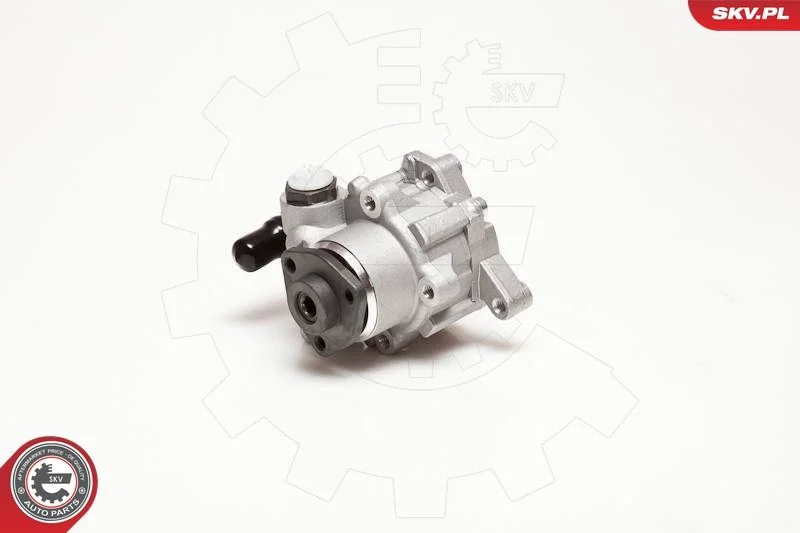 Hydraulic Pump, steering ESEN SKV 10SKV124