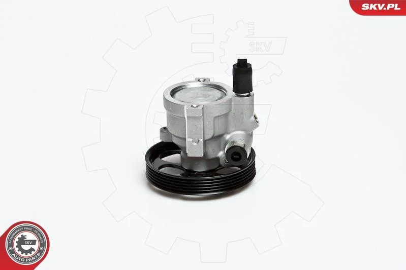 Hydraulic Pump, steering ESEN SKV 10SKV151