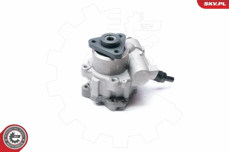 Hydraulic Pump, steering ESEN SKV 10SKV233