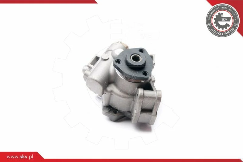 Hydraulic Pump, steering ESEN SKV 10SKV236