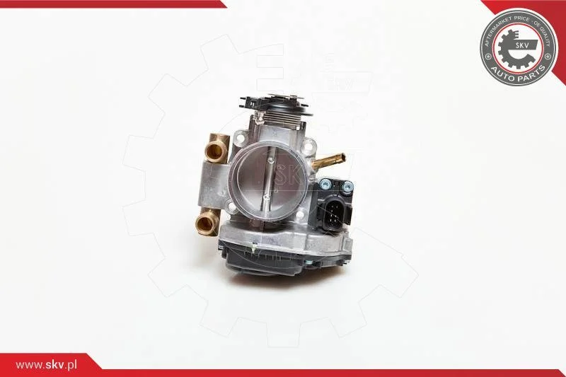 Throttle Body ESEN SKV 12SKV004