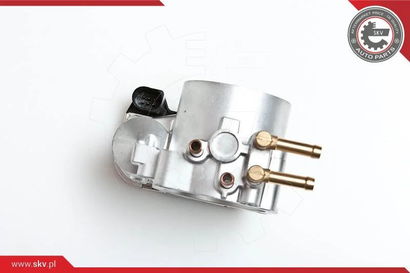 Throttle Body ESEN SKV 12SKV012