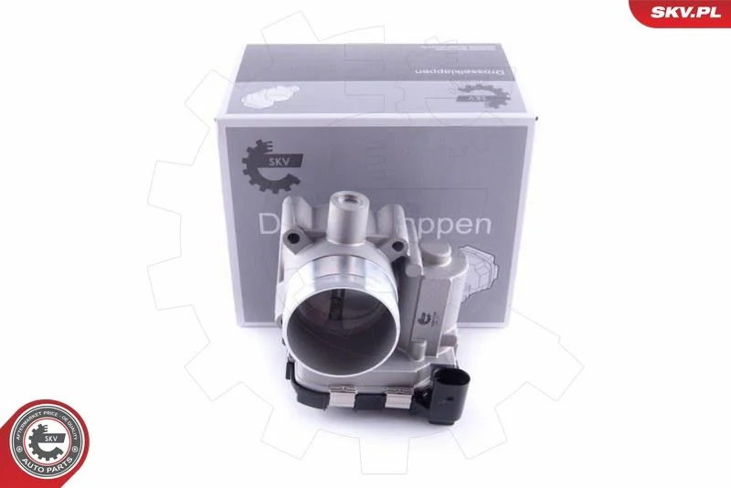 Throttle Body ESEN SKV 12SKV100