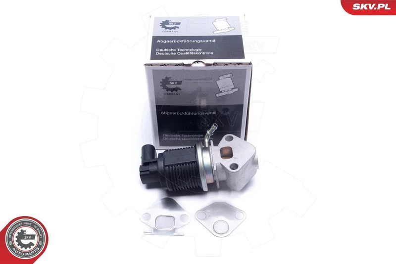 EGR Valve ESEN SKV 14SKV008