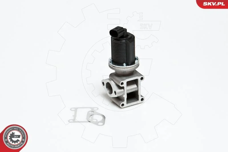 EGR Valve ESEN SKV 14SKV012