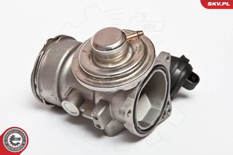 EGR Valve ESEN SKV 14SKV024