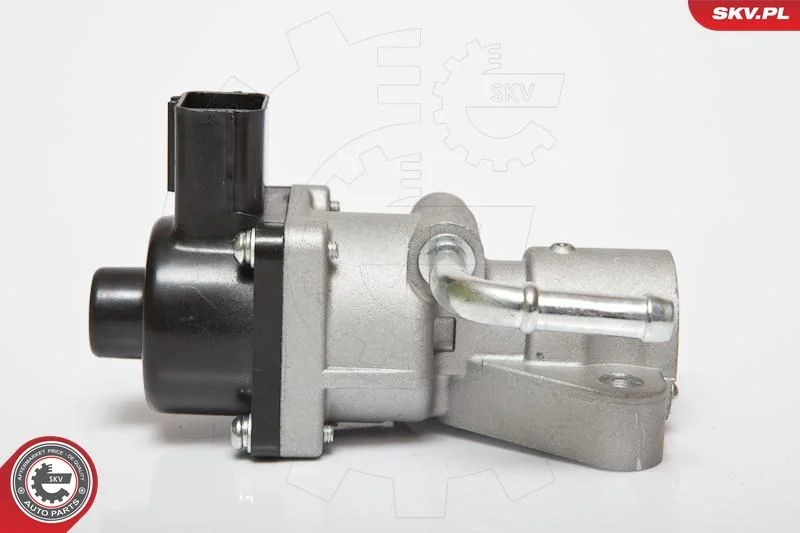 EGR Valve ESEN SKV 14SKV047