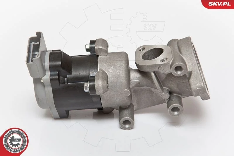 EGR Valve ESEN SKV 14SKV073