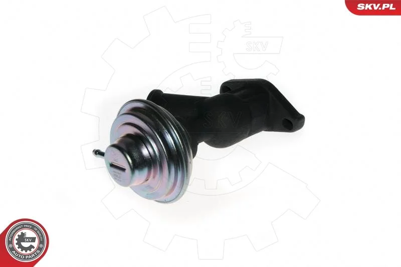 EGR Valve ESEN SKV 14SKV077