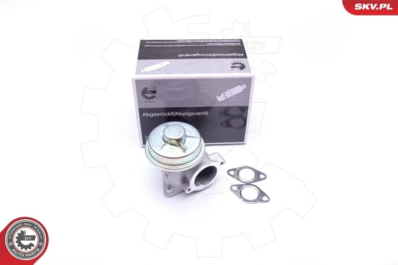 EGR Valve ESEN SKV 14SKV092