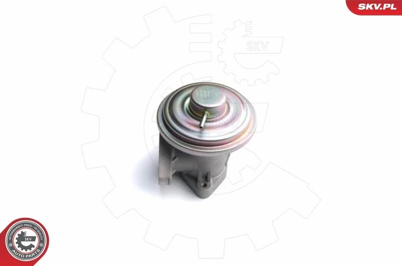 EGR Valve ESEN SKV 14SKV098