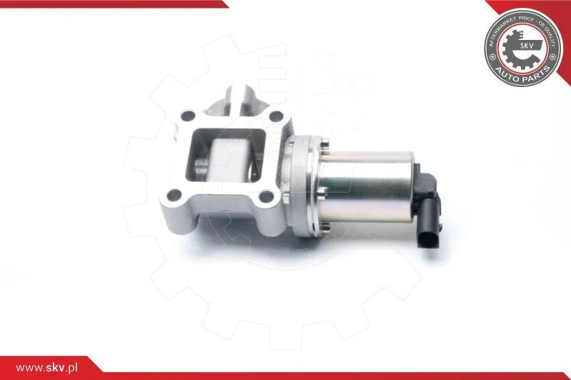 EGR Valve ESEN SKV 14SKV099
