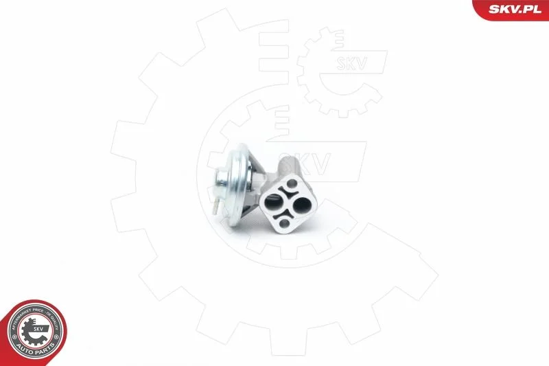 EGR Valve ESEN SKV 14SKV104