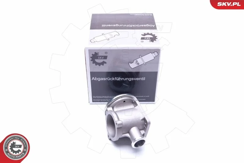 EGR Valve ESEN SKV 14SKV177