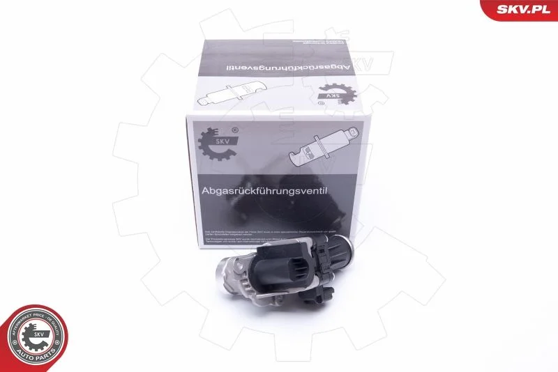 EGR Valve ESEN SKV 14SKV185