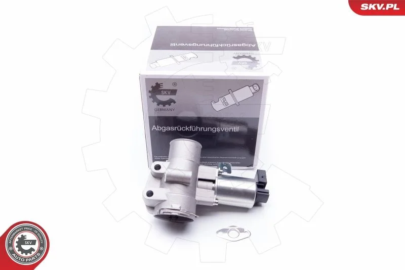 EGR Valve ESEN SKV 14SKV186